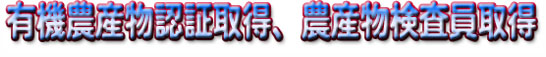 �F�؎擾